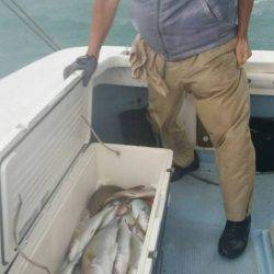 第五慶門丸 釣果