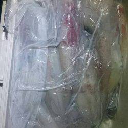 寿裕 （YOSHIHIRO） 釣果