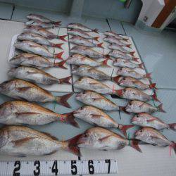 遊漁船 幸友丸 釣果