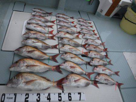 遊漁船 幸友丸 釣果