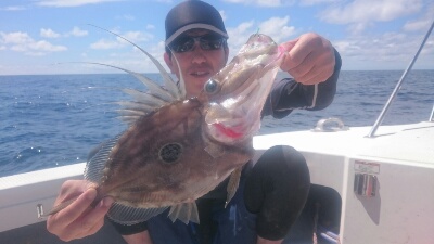 IDATEN(イダテン) 釣果