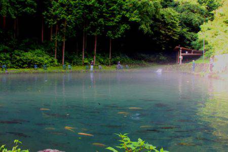 小菅トラウトガーデン 釣果