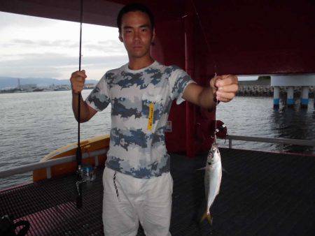 尼崎市立魚つり公園 釣果