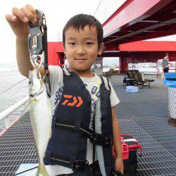 尼崎市立魚つり公園 釣果