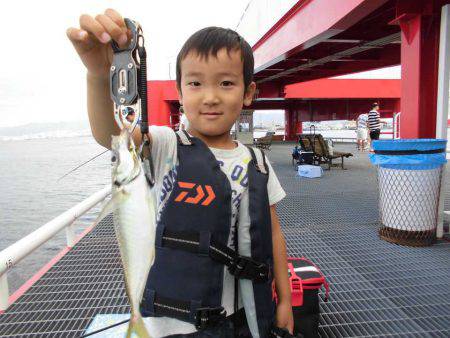 尼崎市立魚つり公園 釣果