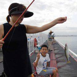 尼崎市立魚つり公園 釣果