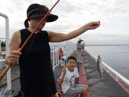 尼崎市立魚つり公園 釣果