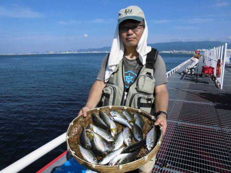 尼崎市立魚つり公園 釣果