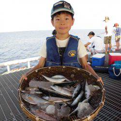 尼崎市立魚つり公園 釣果