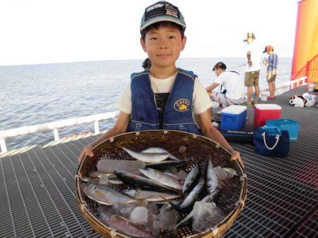 尼崎市立魚つり公園 釣果