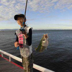 尼崎市立魚つり公園 釣果