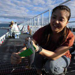 尼崎市立魚つり公園 釣果