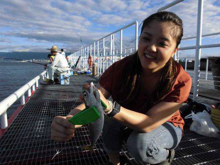 尼崎市立魚つり公園 釣果