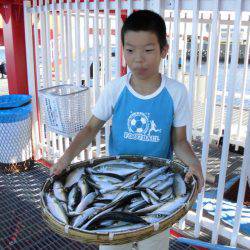 尼崎市立魚つり公園 釣果