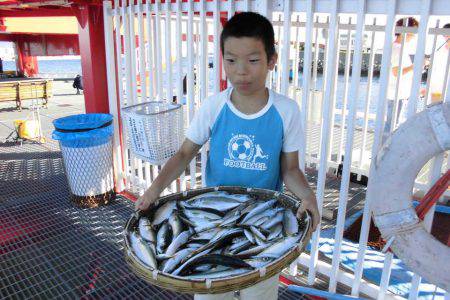 尼崎市立魚つり公園 釣果