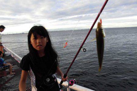 尼崎市立魚つり公園 釣果