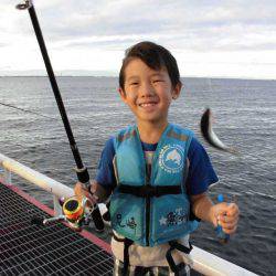 尼崎市立魚つり公園 釣果