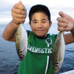 尼崎市立魚つり公園 釣果