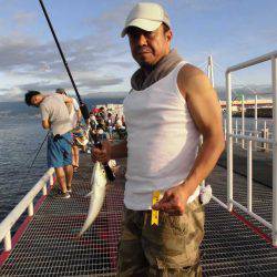 尼崎市立魚つり公園 釣果