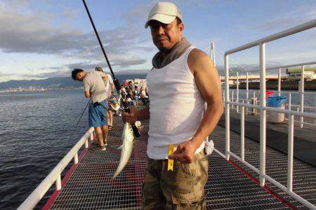 尼崎市立魚つり公園 釣果