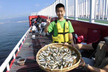 尼崎市立魚つり公園 釣果