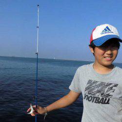 尼崎市立魚つり公園 釣果