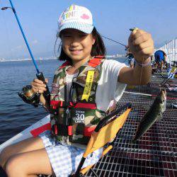 尼崎市立魚つり公園 釣果