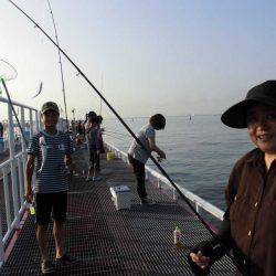 尼崎市立魚つり公園 釣果