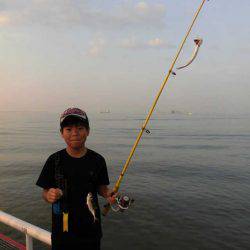 尼崎市立魚つり公園 釣果