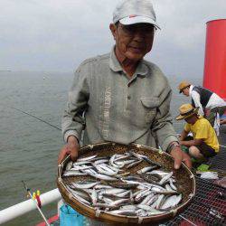 尼崎市立魚つり公園 釣果