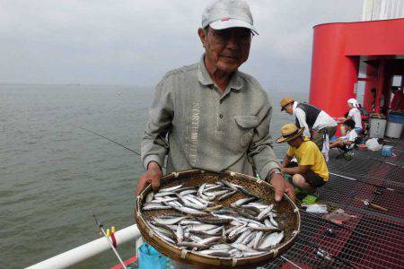 尼崎市立魚つり公園 釣果