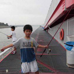 尼崎市立魚つり公園 釣果
