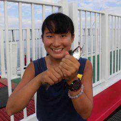 尼崎市立魚つり公園 釣果