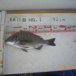 姫路市立遊魚センター 釣果