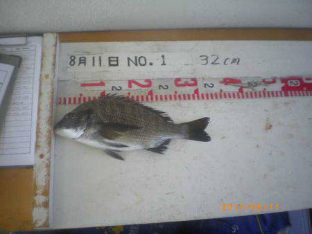 姫路市立遊魚センター 釣果