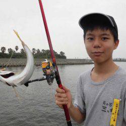 尼崎市立魚つり公園 釣果