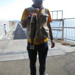 下関フィッシングパーク 釣果