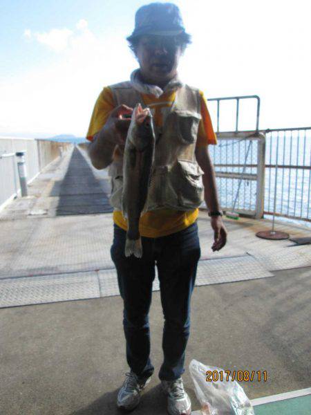 下関フィッシングパーク 釣果