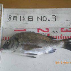 姫路市立遊魚センター 釣果