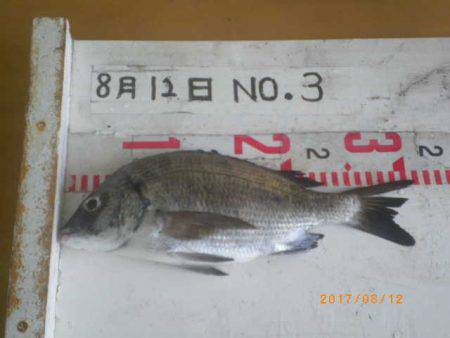 姫路市立遊魚センター 釣果