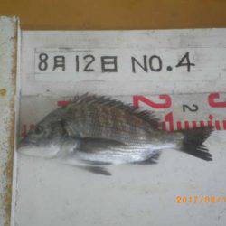 姫路市立遊魚センター 釣果