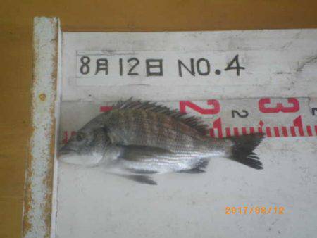 姫路市立遊魚センター 釣果