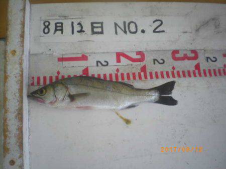 姫路市立遊魚センター 釣果