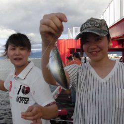 尼崎市立魚つり公園 釣果