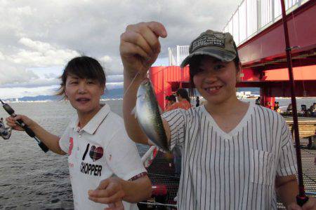 尼崎市立魚つり公園 釣果