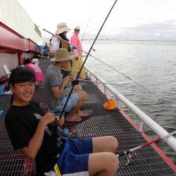 尼崎市立魚つり公園 釣果
