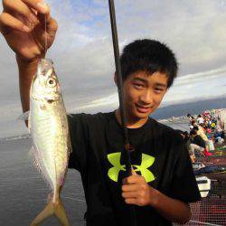 尼崎市立魚つり公園 釣果