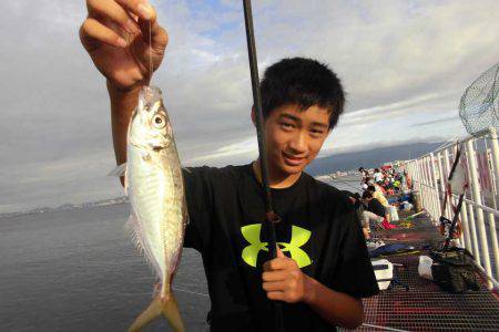 尼崎市立魚つり公園 釣果