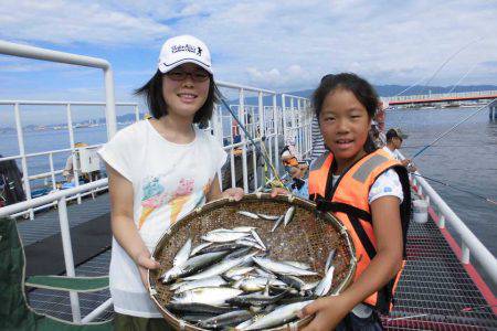 尼崎市立魚つり公園 釣果