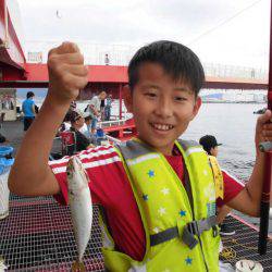 尼崎市立魚つり公園 釣果